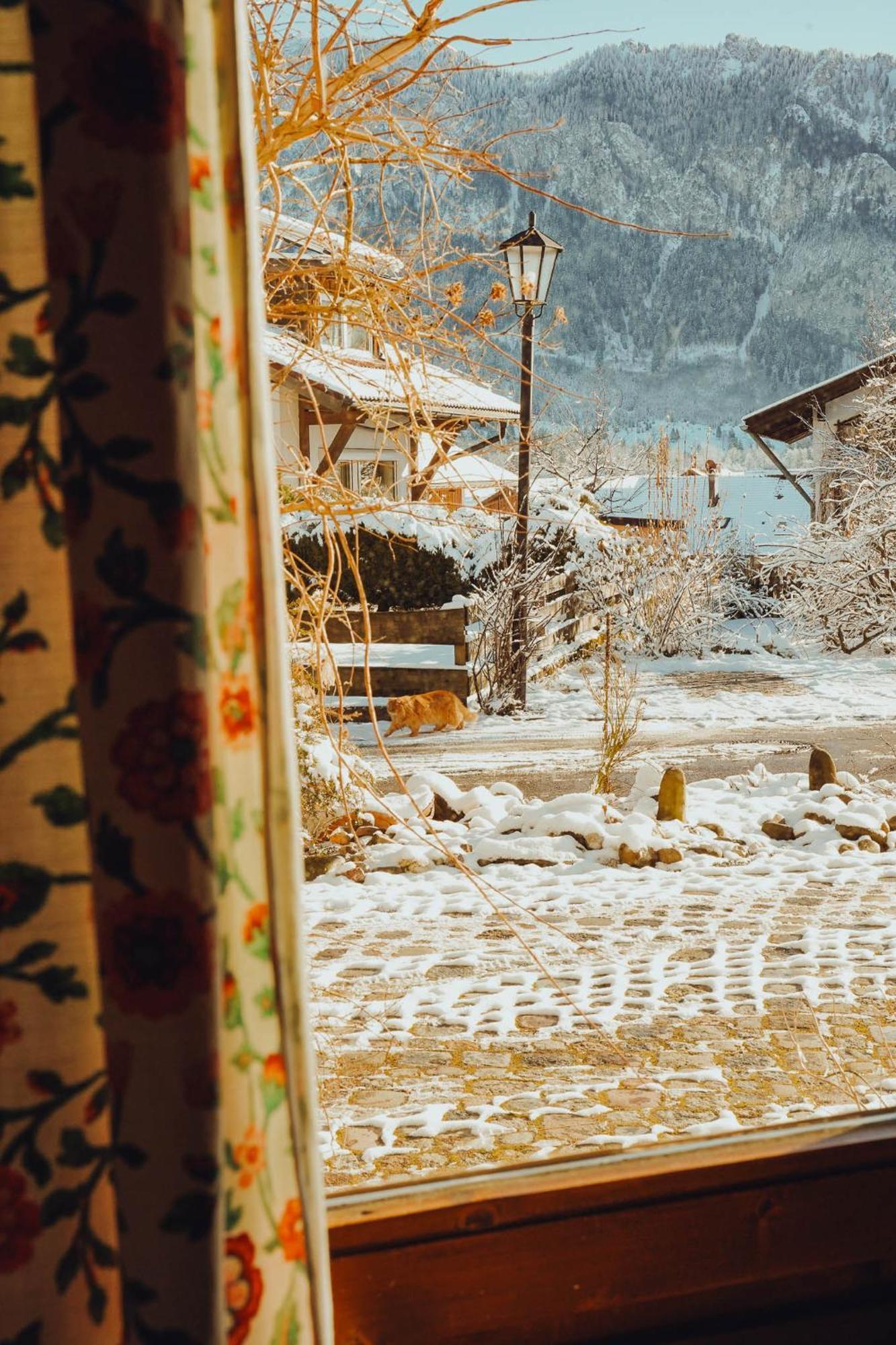 Haus Am Weiher Schwangau Eksteriør bilde